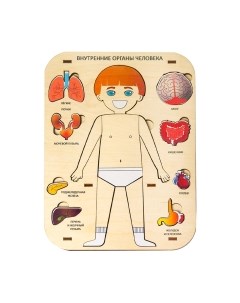 Развивающая игра Грай Внутренние органы человека / 2007