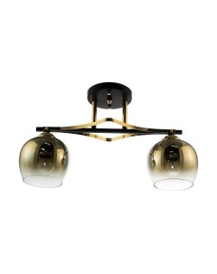 Потолочный светильник Aitin-Pro НПБ 02-2x60-101 / N4744/2 Aitin-pro