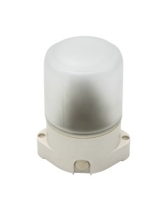 Светильник ЖКХ ЭРА НББ 01-60-001 / Б0048030 Эра