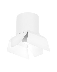 Точечный светильник Lightstar Rullo R3486486