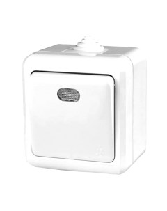 Выключатель Tokov Electric TKL-DT-V1I-C01-IP54 Tokov electric