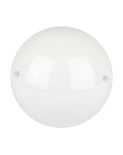 Светильник ЖКХ ЭРА ДБП 06-12-012 / Б0062649 Эра