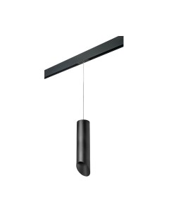 Трековый светильник Lightstar Rullo PRORP649787