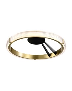 Потолочный светильник Lightstar Rotonda 736041