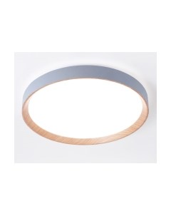 Потолочный светильник Ambrella FZ1322