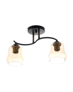 Потолочный светильник Aitin-Pro НПБ 02-2x60-101 / XA1218B/2 Aitin-pro