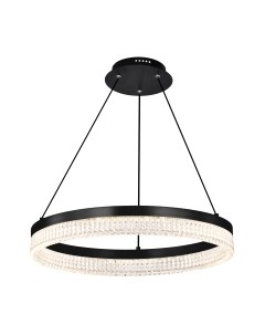 Потолочный светильник Lightstar Rotonda 736167