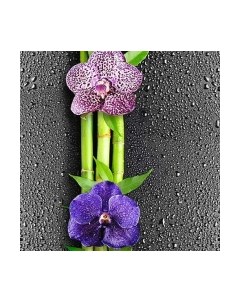 Панель ПВХ Sanrelia Стандарт New Орхидея 351