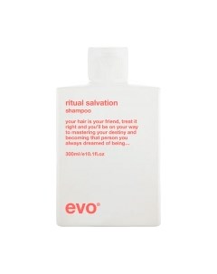 Шампунь для волос Evo