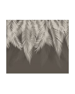 Фотообои листовые Citydecor Пальмовые листья