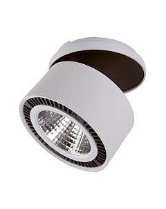 Точечный светильник Lightstar Forte Inca 214829