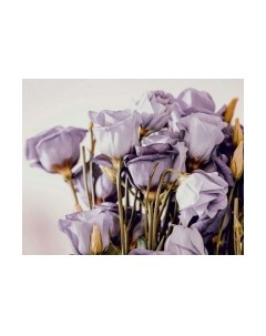 Картина Stamprint Розы АT014