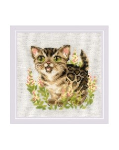 Набор для вышивания Бенгальский котенок / 2119 Риолис