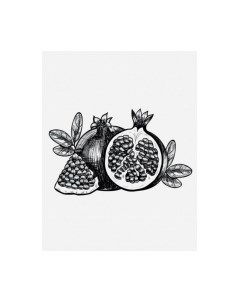 Картина Stamprint Фрукты 1 КС007