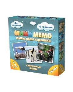 Набор игр Нескучные игры Мемо Ми-Ми-Мемо Птицы / 8052