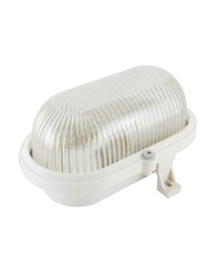 Светильник ЖКХ TDM SQ0312-0010 Tdm