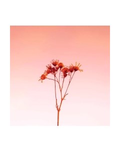 Картина на стекле Ветка 1 SP017 Stamprint