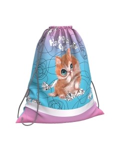 Мешок для обуви Erich Krause Playful Kitten / 60271 Erich krause