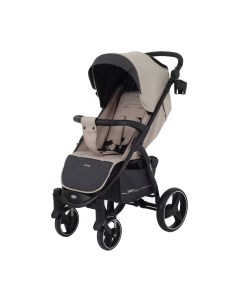 Детская прогулочная коляска Alpine 2024 / RA450 Rant