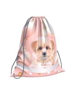 Мешок для обуви Erich Krause Maltipu / 60270 Erich krause