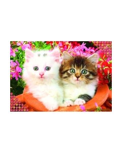 Набор алмазной вышивки Школа талантов Котята / 1028502