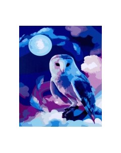 Картина по номерам Сказочная сова / 9295619 Школа талантов