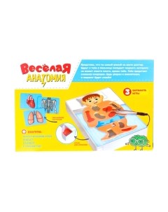Настольная игра Лас Играс Веселая анатомия / 2848149 Лас играс