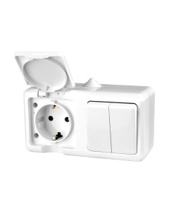 Блок выключатель+розетка Tokov Electric ОП Dita / TKL-DT-V2RZ-C01-IP54 Tokov electric