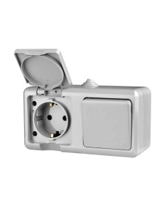 Блок выключатель+розетка ОП Dita / TKL-DT-V1RZ-C06-IP54 Tokov electric