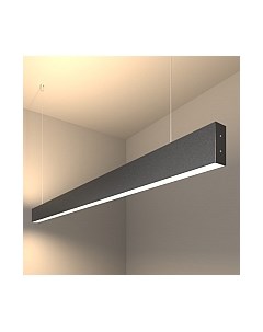 Потолочный светильник Elektrostandard 101-200-40-128 50W 4200K