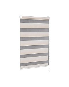 Рулонная штора Delfa Сантайм День-Ночь Престиж МКД DN-4901