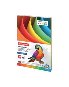 Бумага Brauberg А4 80 г/м2 / 112461