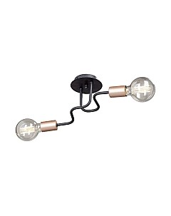 Потолочный светильник Vitaluce V4560-1/2PL