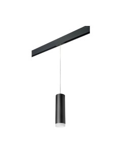 Трековый светильник Lightstar Rullo PRORP649780