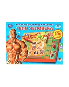 Развивающая игра Умка Электровикторина. Тело человека / HT522-R