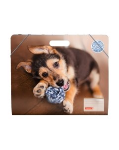 Папка для бумаг Brunnen Fans Of Earth А3 / 47 063 541