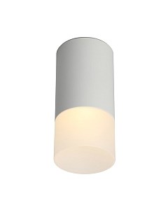 Потолочный светильник Omnilux Lucido OML-100609-01