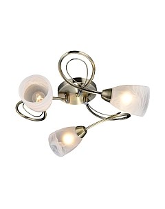 Люстра Lussole LGO LSP-0187