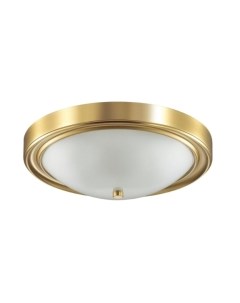 Потолочный светильник Lumion Nina 5259/3C