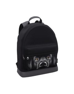 Рюкзак Erich Krause StreetLine 17L Black Dog / 60349 Erich krause