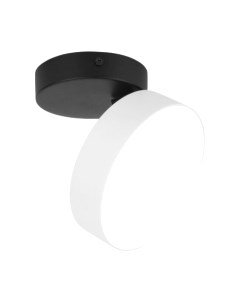 Потолочный светильник Elektrostandard Pila 12W 4200К / 25135/LED