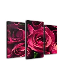 Картина модульная Arthata m-000214