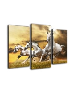 Картина модульная Arthata m-000322