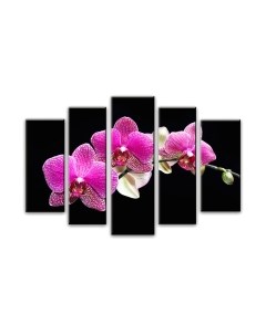 Картина модульная Arthata 5m-568