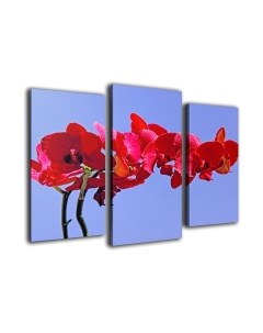 Картина модульная Arthata m-000279