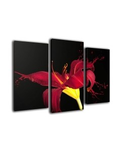 Картина модульная Arthata m-000284