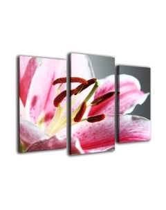 Картина модульная Arthata m-000477