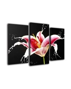 Картина модульная Arthata m-000291