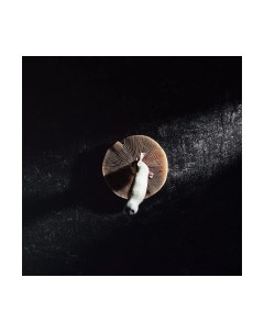 Картина на стекле Грибы 3 KT066 Stamprint