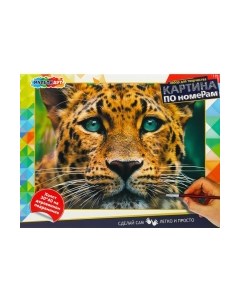 Картина по номерам Леопард / CANV30X40-LEO Multiart